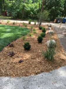 Softscape design and installation by Twin Oaks Landscaping